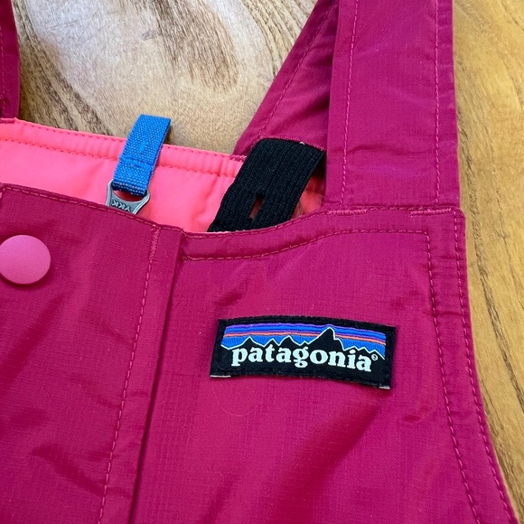Patagonia Toddler winter Snow bibs.  Size 3T - Picture 4 of 5